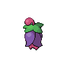 Cherrim
