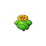 Sprite de Skiploom