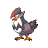 Staraptor