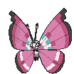 Vivillon